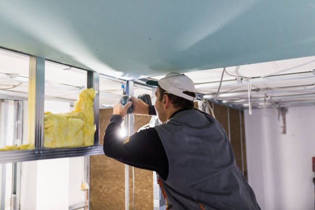 Best Eco-Friendly Insulation in Peebles, OH