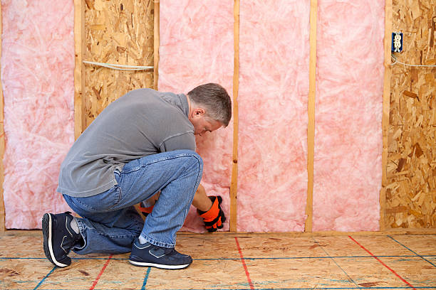Types of Insulation We Offer in Peebles, OH