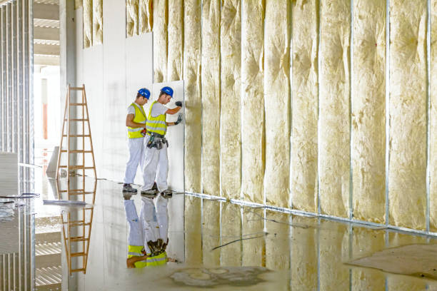 Best Insulation Maintenance and Repair in Peebles, OH
